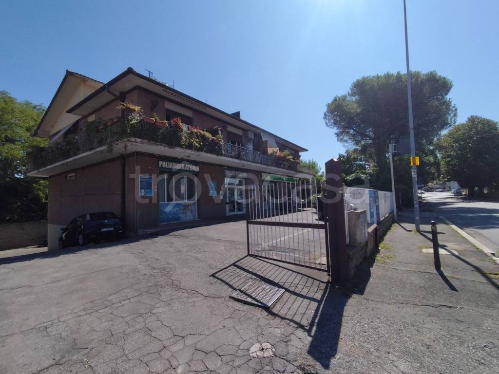 negozio in affitto a Frascati