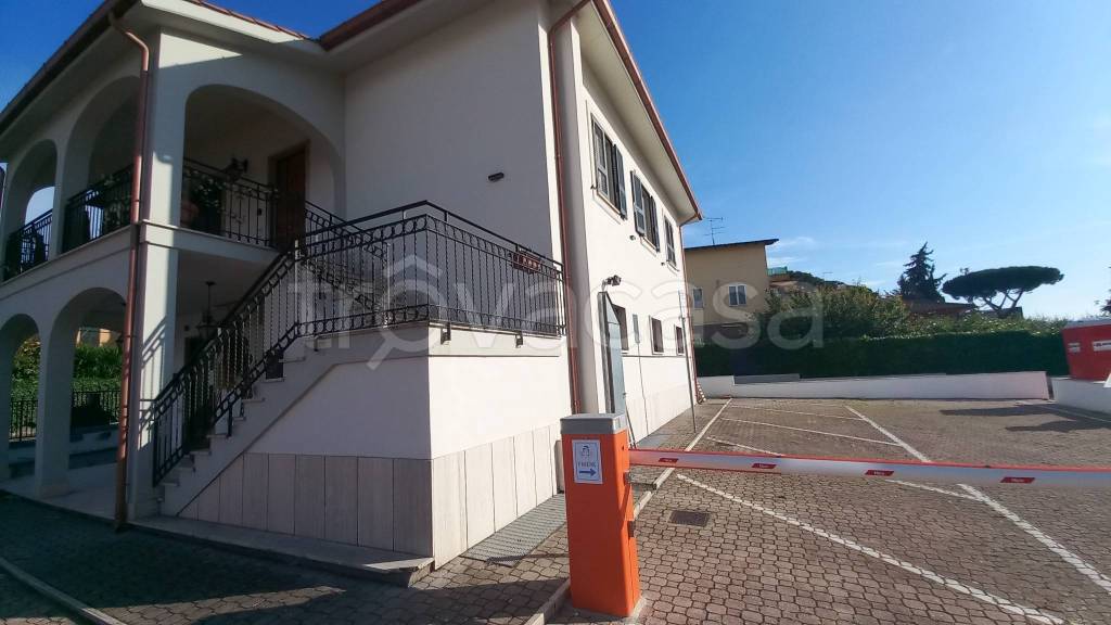 appartamento in affitto a Frascati