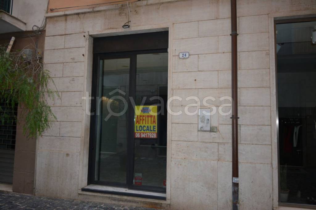 negozio in affitto a Frascati