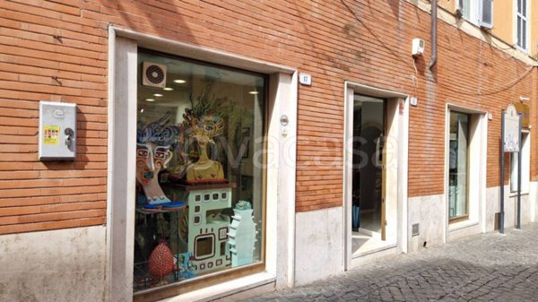 appartamento in affitto a Frascati