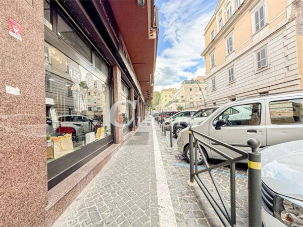 negozio in affitto a Frascati