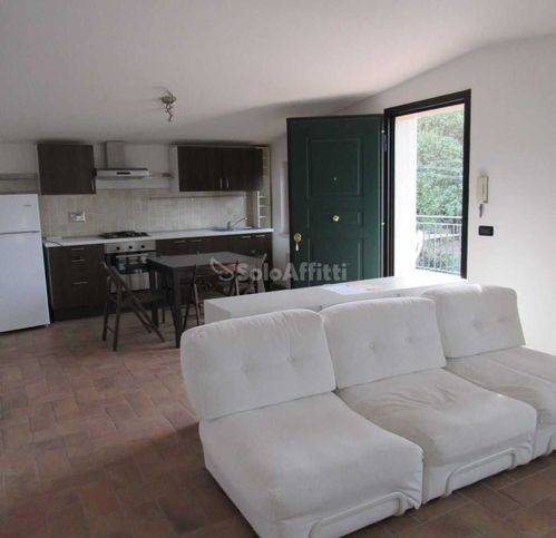 appartamento in affitto a Frascati