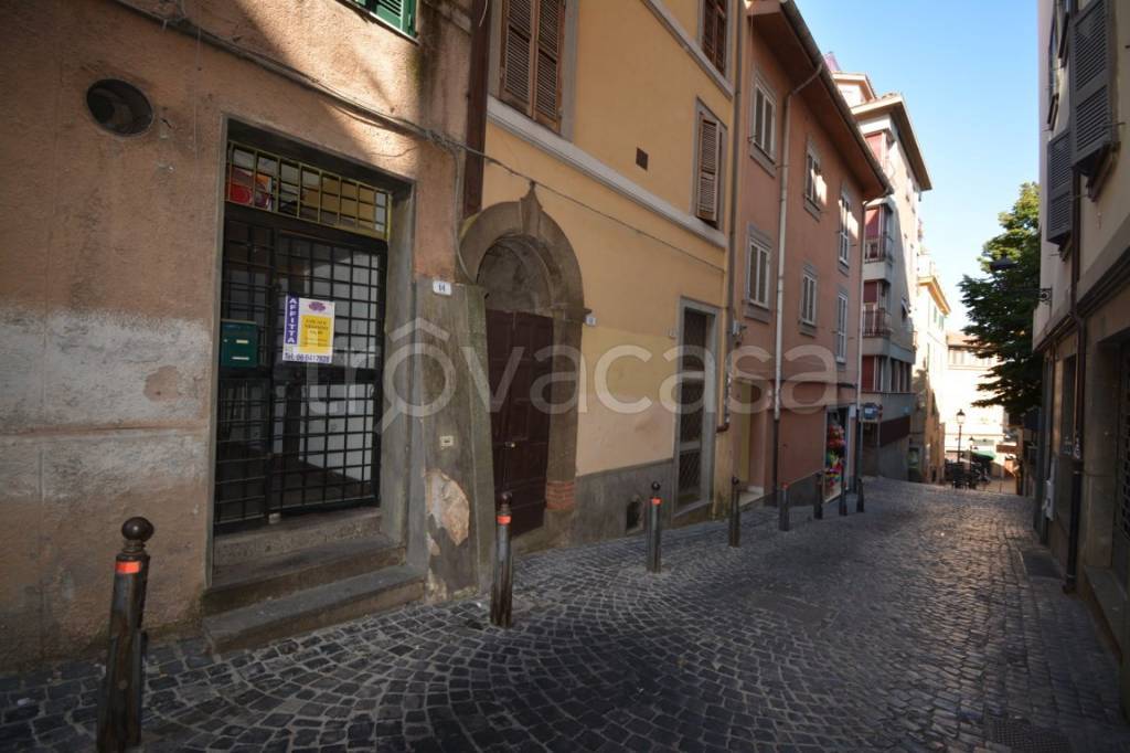 negozio in affitto a Frascati