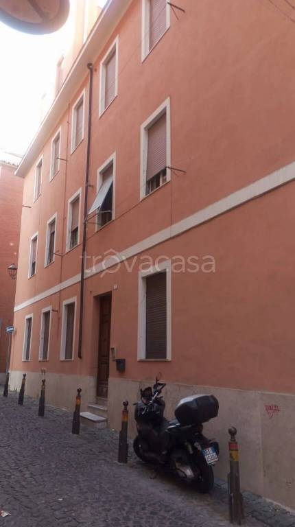 appartamento in affitto a Frascati