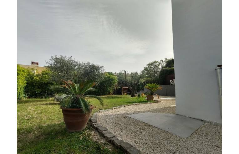 casa indipendente in affitto a Frascati