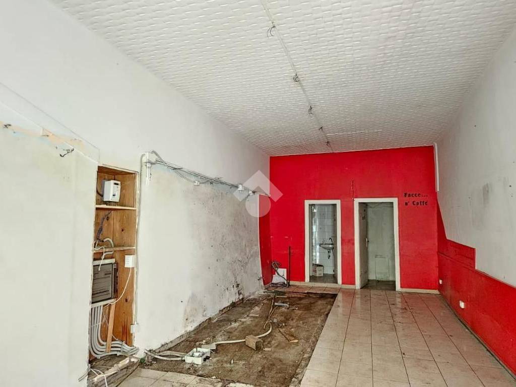 negozio in affitto a Frascati