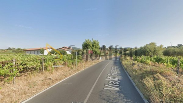 appartamento in affitto a Frascati