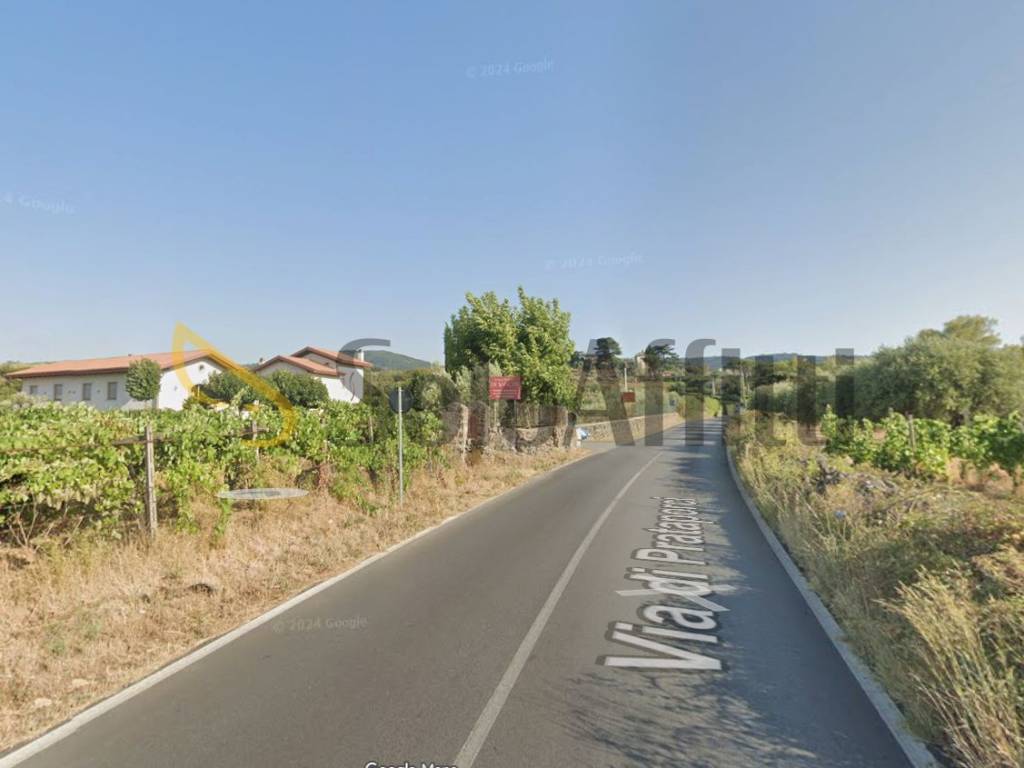 appartamento in affitto a Frascati