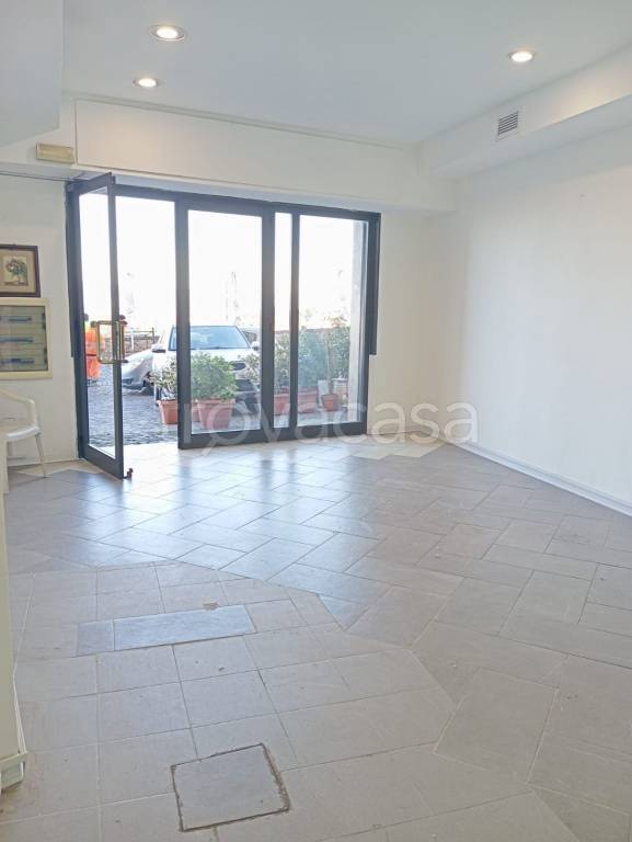 negozio in affitto a Frascati