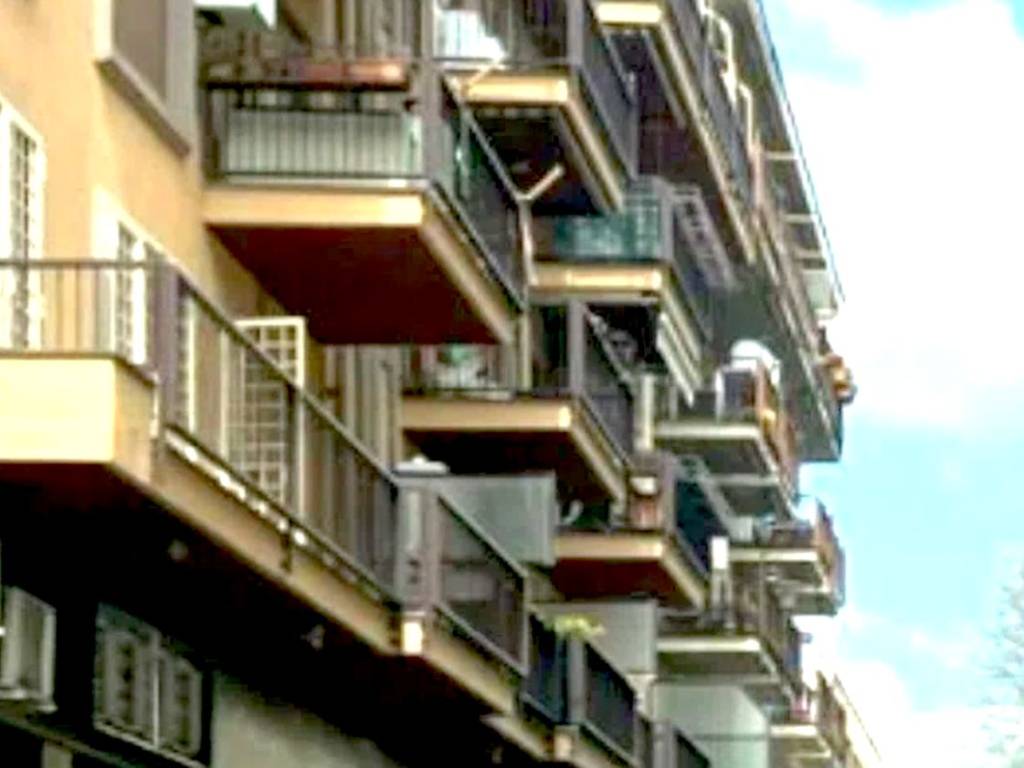 negozio in affitto a Frascati