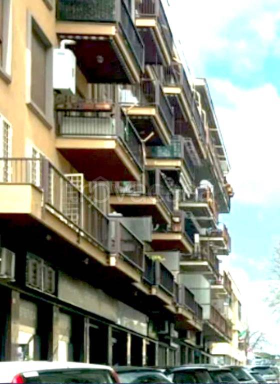 negozio in affitto a Frascati