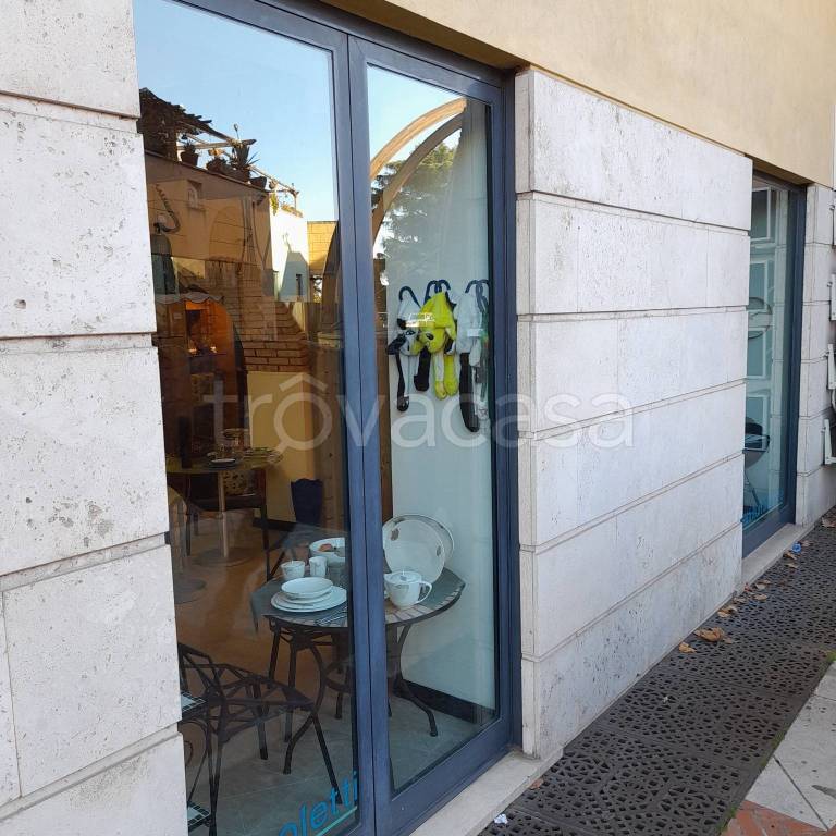 negozio in affitto a Frascati