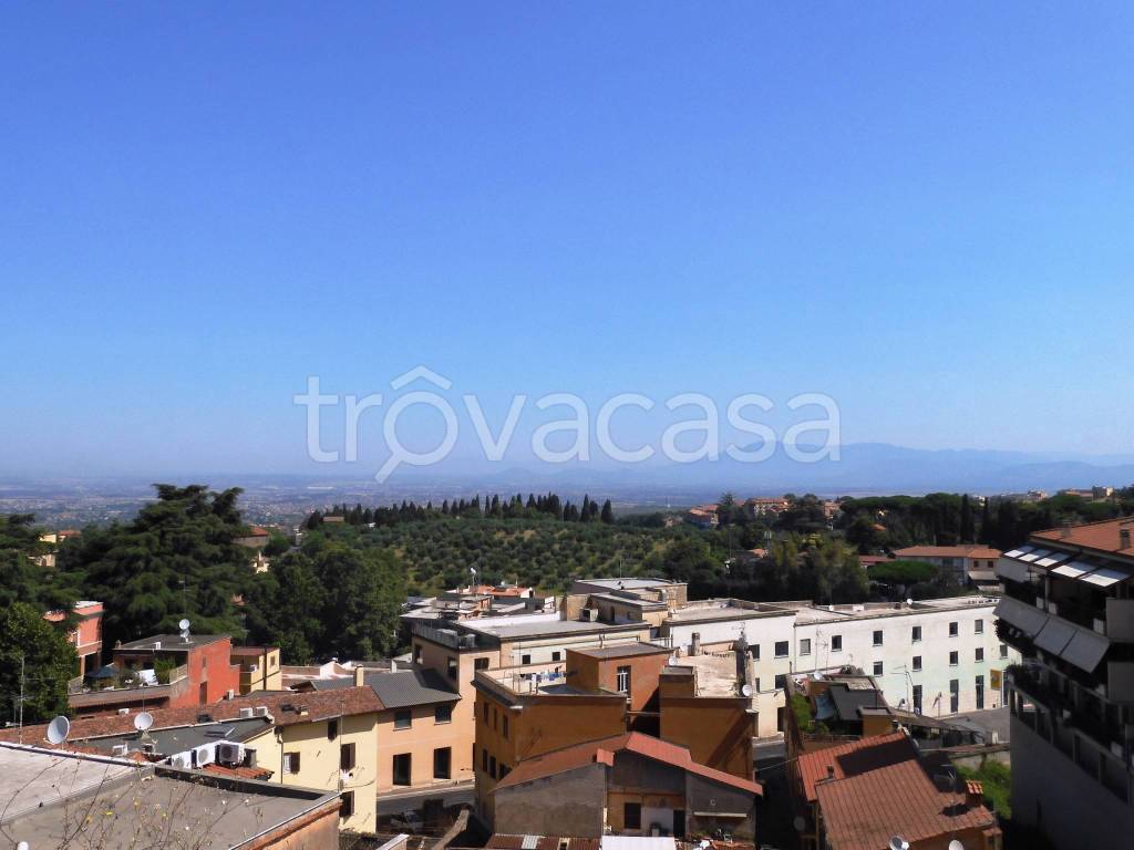 appartamento in affitto a Frascati