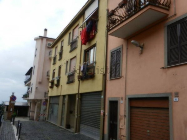 villa in affitto a Frascati