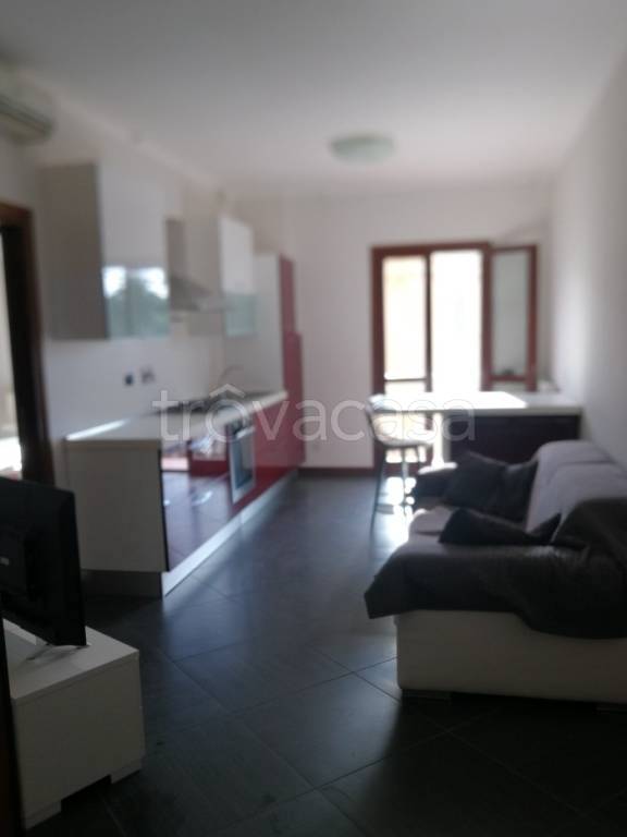 appartamento in affitto a Frascati