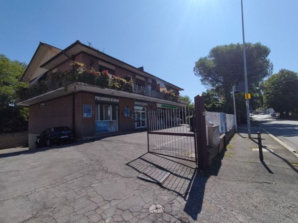locale di sgombero in affitto a Frascati