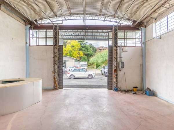 appartamento in affitto a Frascati