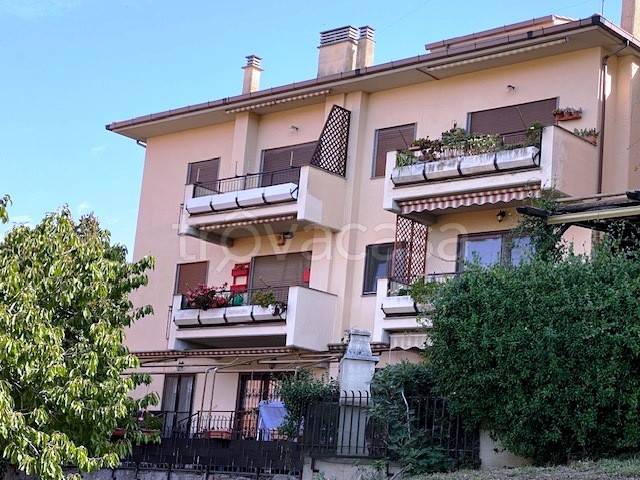 appartamento in affitto a Frascati