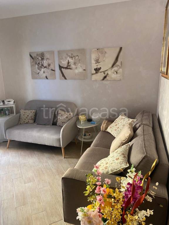 immagine annuncio 0 di 15