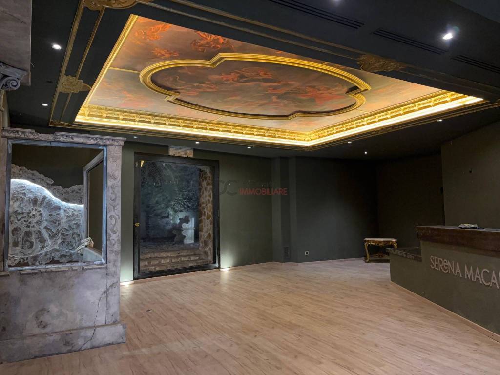 negozio in affitto a Frascati