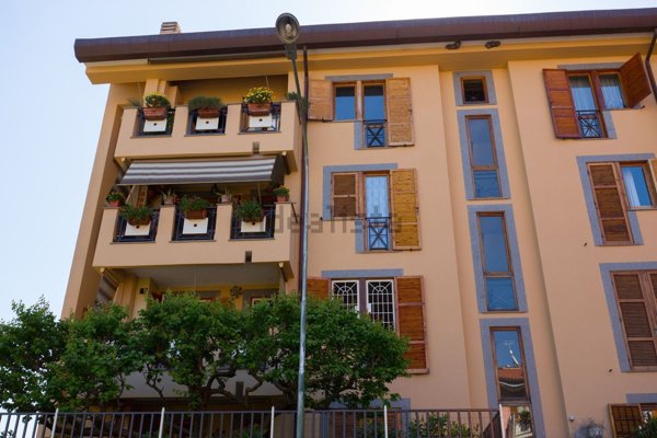 appartamento in affitto a Frascati