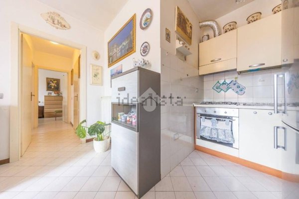 appartamento in affitto a Frascati