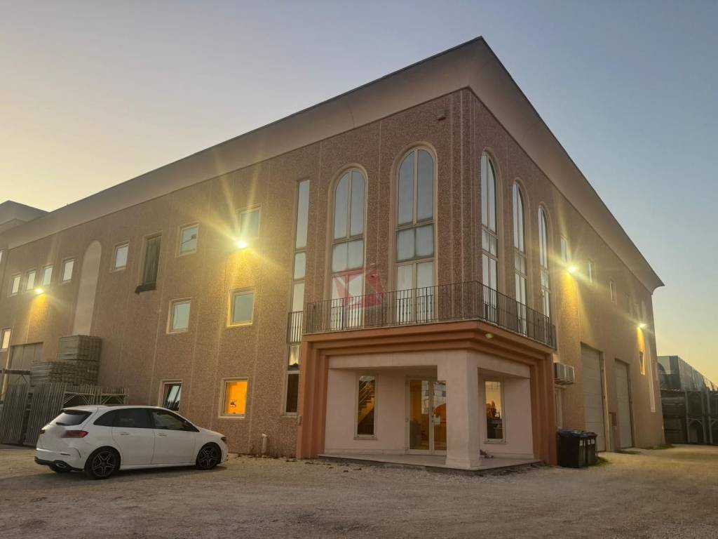 negozio in affitto a Frascati