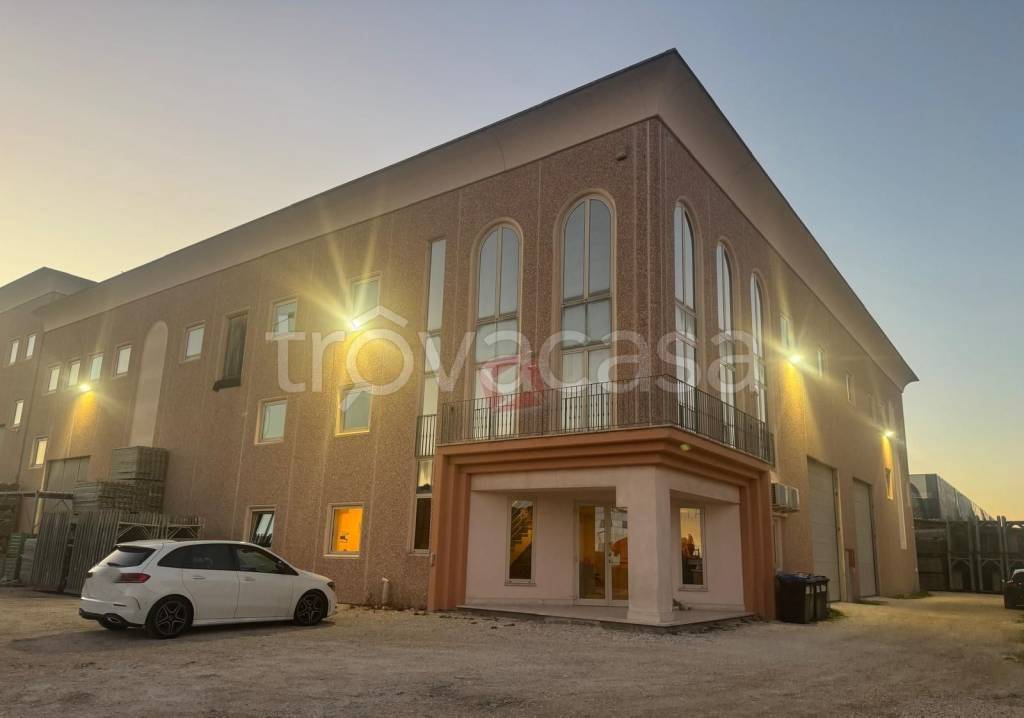 negozio in affitto a Frascati