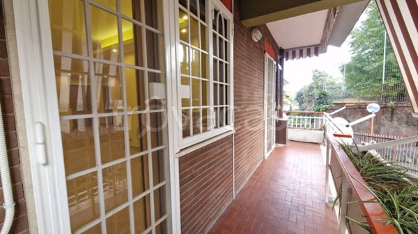 appartamento in affitto a Frascati