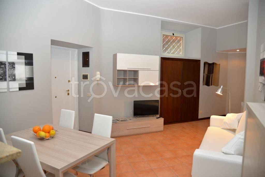 appartamento in affitto a Frascati