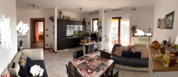 appartamento in affitto a Frascati