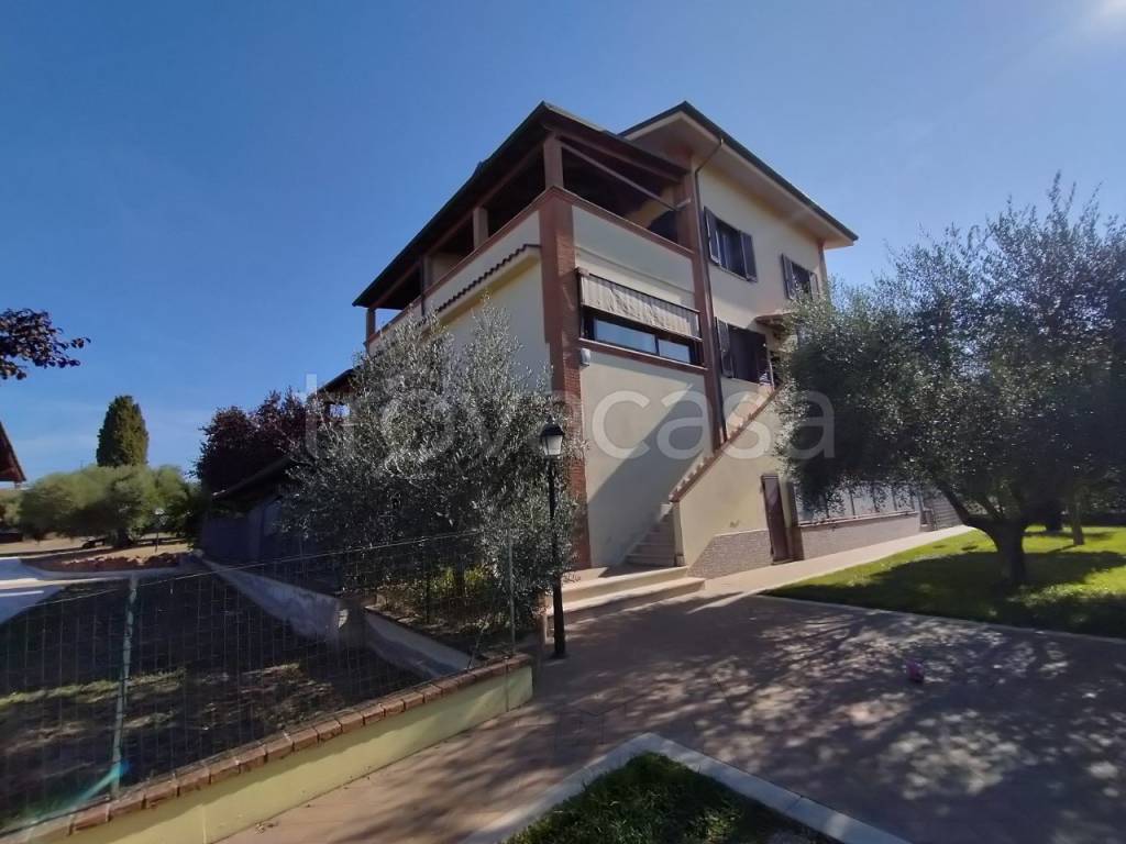 appartamento in affitto a Frascati