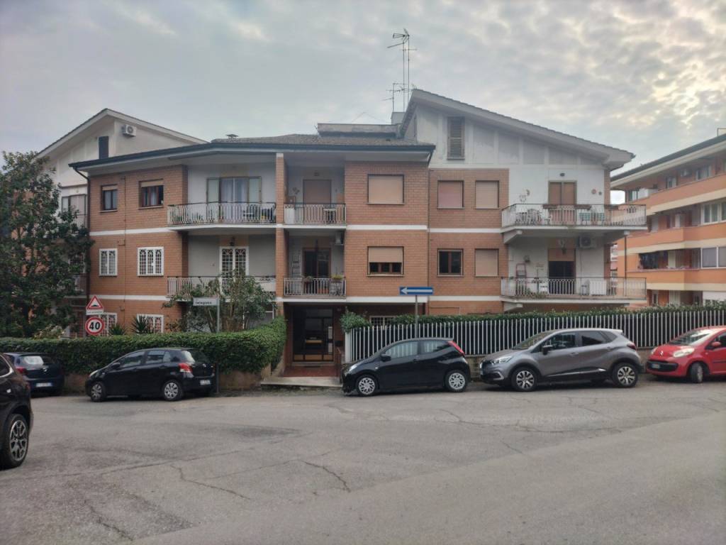 appartamento in affitto a Frascati