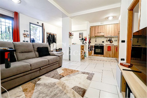 appartamento in affitto a Frascati