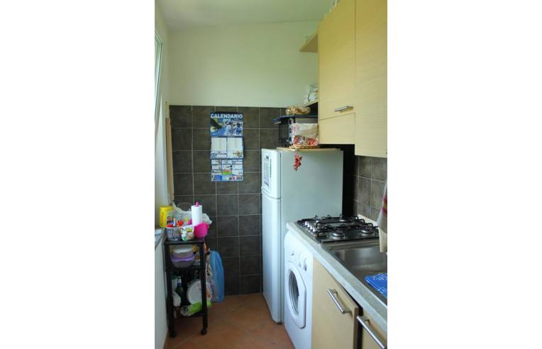 appartamento in affitto a Frascati