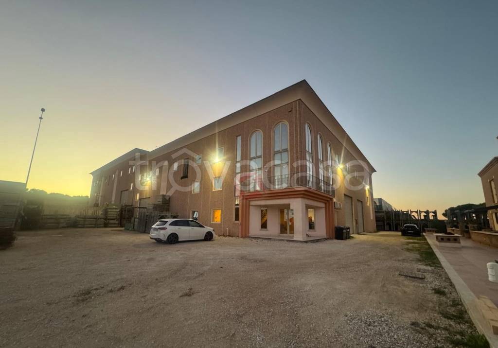 locale commerciale in affitto a Frascati