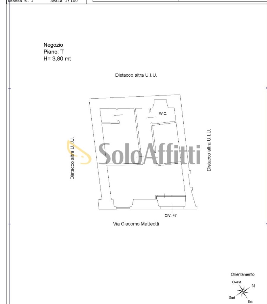 negozio in affitto a Frascati