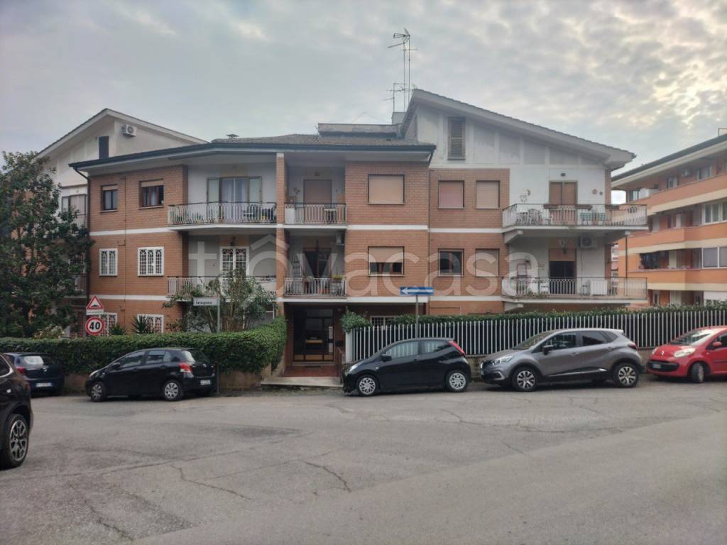appartamento in affitto a Frascati
