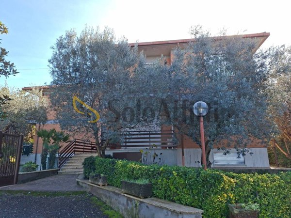 appartamento in affitto a Frascati