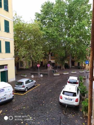 appartamento in affitto a Frascati