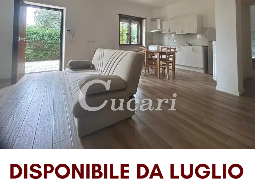 appartamento in affitto a Frascati