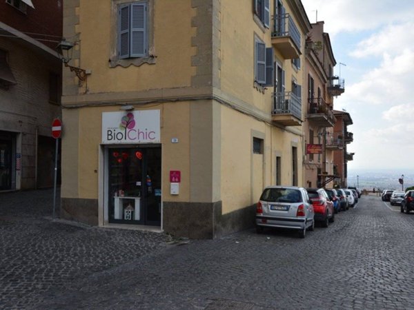 negozio in affitto a Frascati