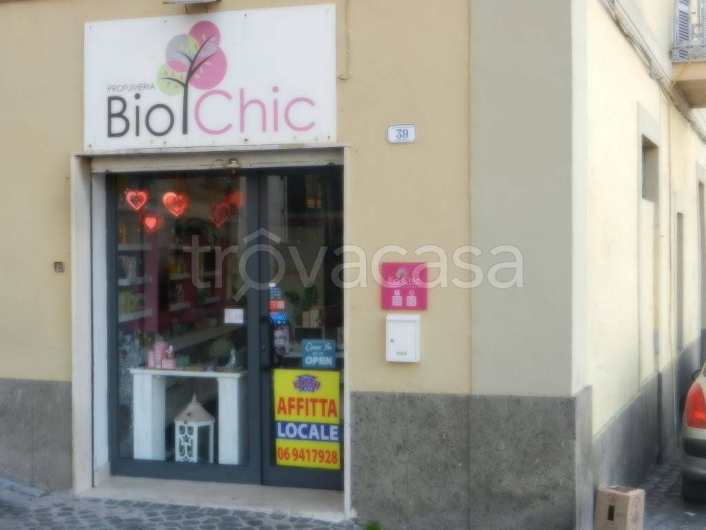 negozio in affitto a Frascati