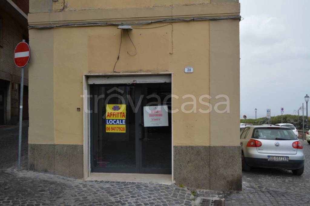 negozio in affitto a Frascati