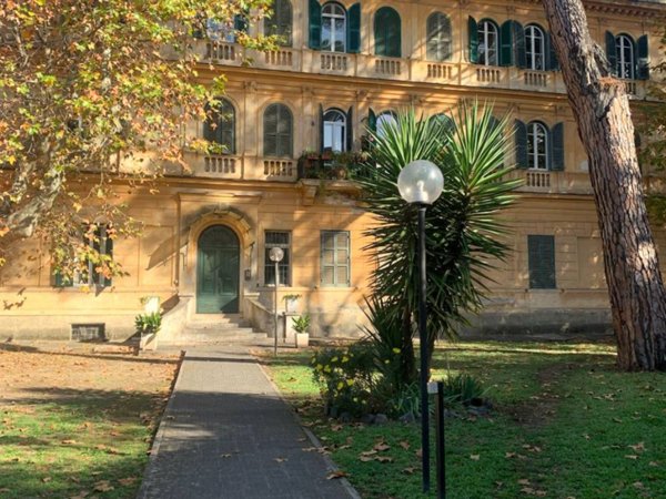 appartamento in affitto a Frascati