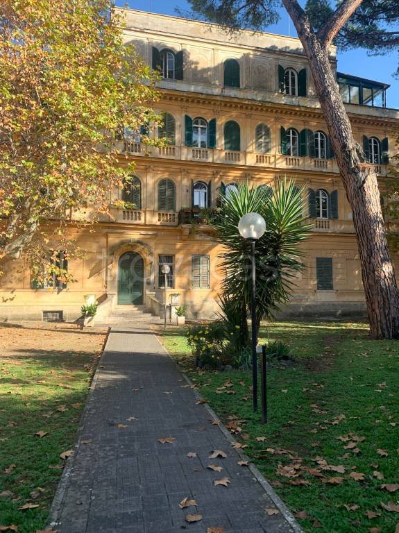 appartamento in affitto a Frascati