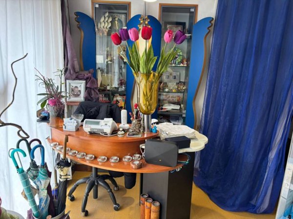 negozio in affitto a Frascati