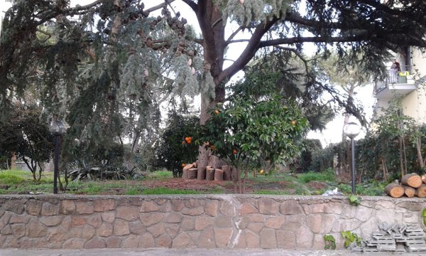 appartamento in affitto a Frascati