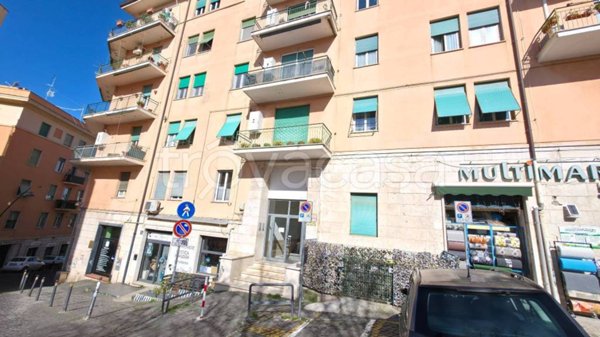 appartamento in affitto a Frascati