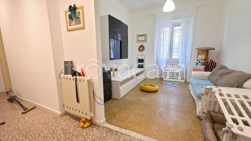 appartamento in affitto a Frascati